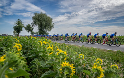 Philippe Gilbert i gwiazdy polskiego kolarstwa na starcie PZU Gran Fondo Warszawa. Pojedzie też Ewa Makówka